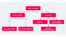 Что такое нетто-тариф в Триал-Спорт