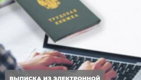 Что такое СТД ПФР: расшифровка и назначение в Триал-Спорт