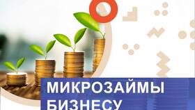 Что такое займ в МКК в Триал-Спорт