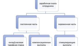 Что входит в заработную плату в Триал-Спорт