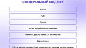 Для чего государству нужны налоги в Триал-Спорт