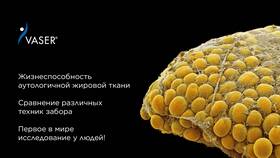 Инвитро: заказ частично выполнен - что это значит? в Триал-Спорт