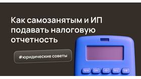 Как подать декларацию самозанятому