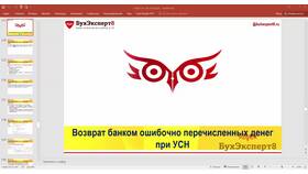 Как вернуть ошибочный платеж от ООО: порядок действий в Триал-Спорт