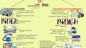 Как юридическому лицу получить государственные услуги в Триал-Спорт