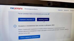 Почему пропало заявление на Госуслугах в Триал-Спорт