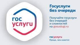 Почему с мобильного интернета не загружается портал Госуслуг в Триал-Спорт