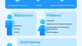 Промежуточное заявление на Госуслугах: назначение и особенности в Триал-Спорт